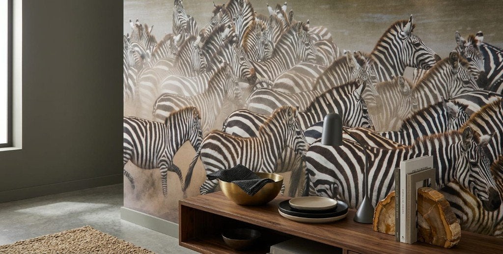 Safari behang woonkamer – zebrakudde op maat, Natuurlijk, 75 m² of meer, Ophalen of Verzenden, Fotobehang