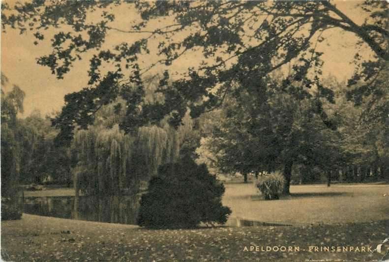 377-345-003 Apeldoorn Prinsenpark, Ophalen of Verzenden, Voor 1920, Gelderland
