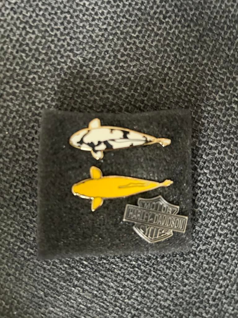 Harley-Davidson speldje., Ophalen of Verzenden, Zo goed als nieuw, Dier of Natuur, Speldje of Pin