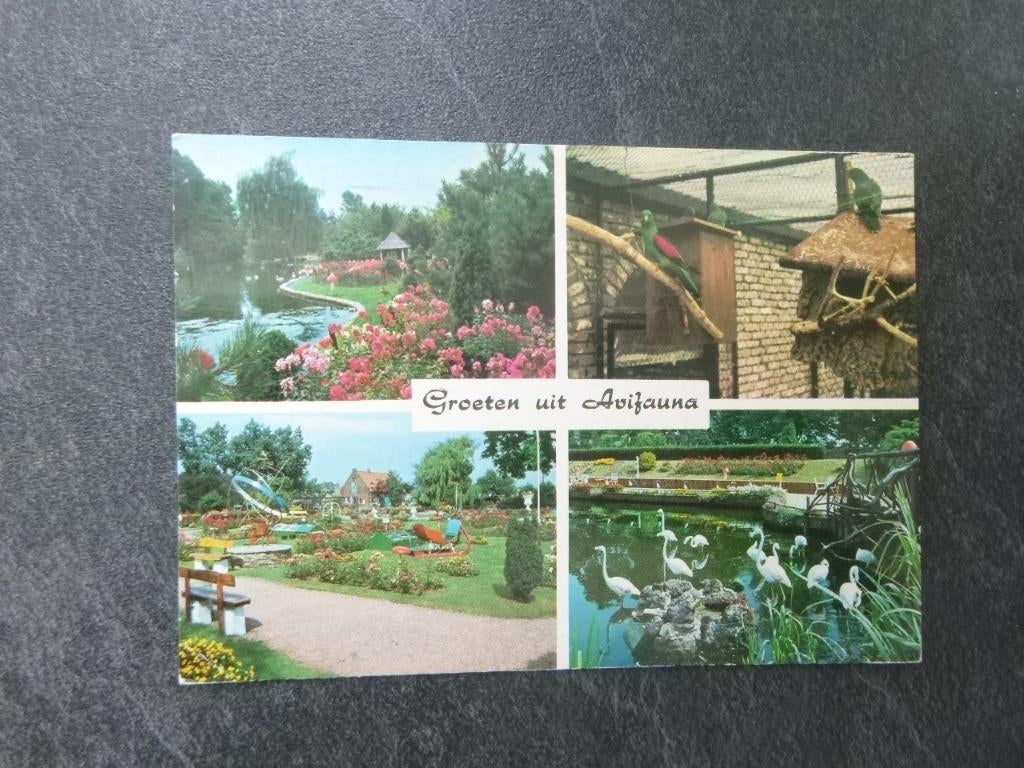Alphen a/d Rijn, intern. vogelpark Avifauna 1975, Verzenden, 1960 tot 1980, Gelopen, Zuid-Holland