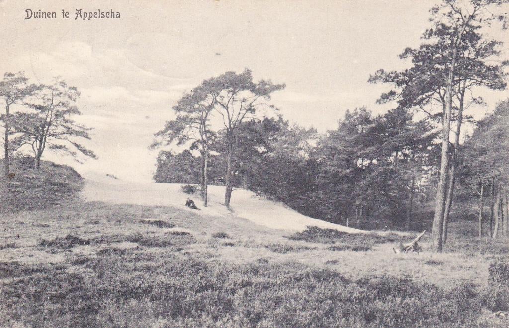 06523 Appelscha - Duinen, Verzenden, Voor 1920, Gelopen, Friesland