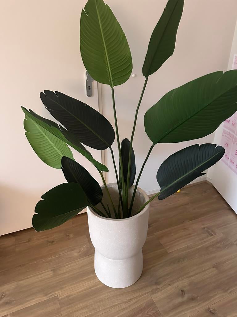 Kwantum pot Lione en kunstplant strelitizia, Huis en Inrichting, Kamerplanten, Ophalen, Overige soorten, Halfschaduw, Minder dan 100 cm