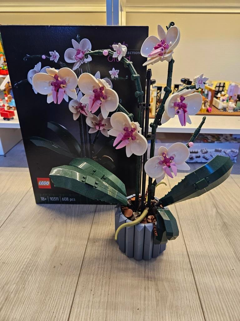 LEGO 10311 Orchid - Orchidee, Ophalen, Zo goed als nieuw