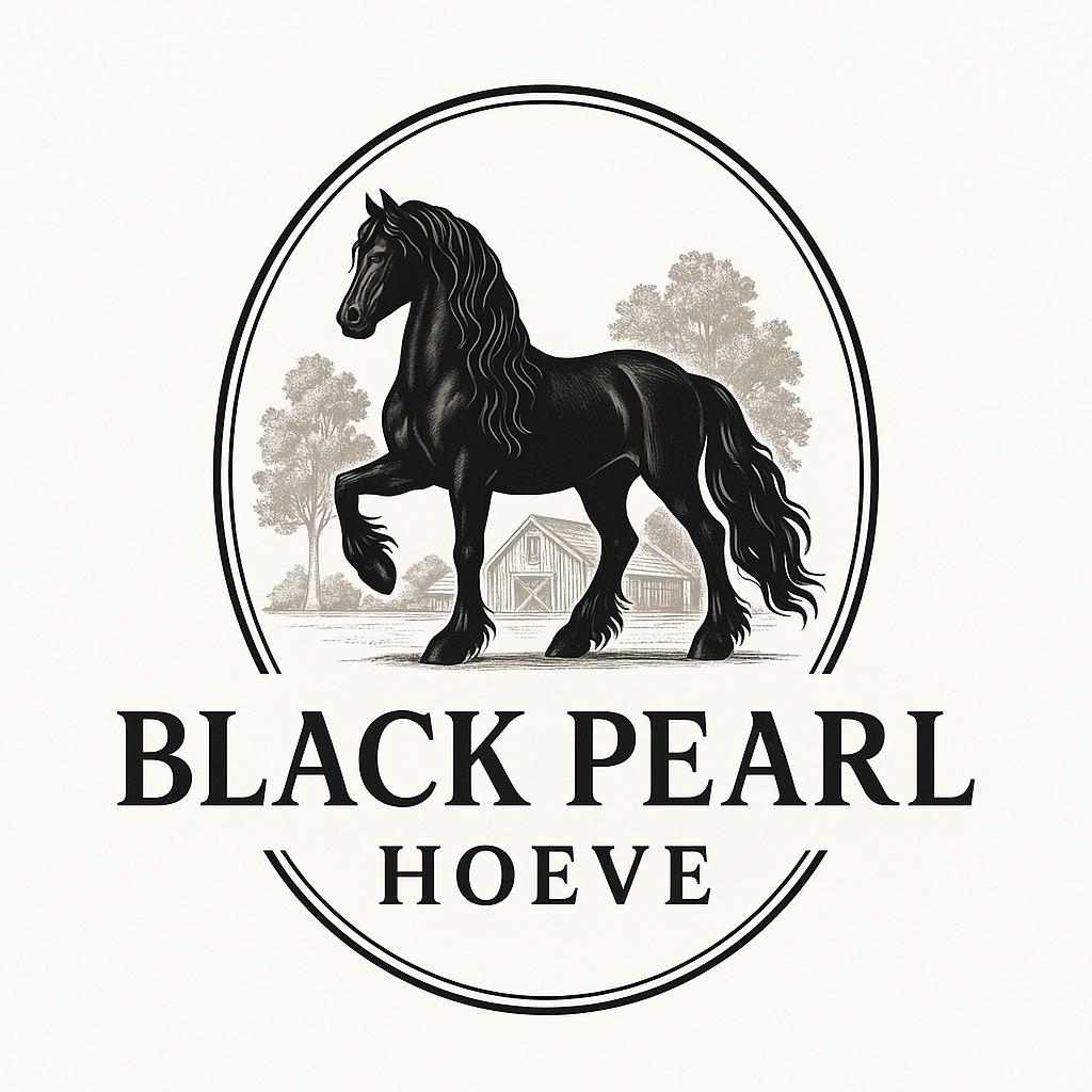 Black Pearl Hoeve – Training & Doorrijden van Paarden, Diensten en Vakmensen, Dieren | Paarden | Verzorging, Oppas en Les, Verzorging of Verzorgpony's