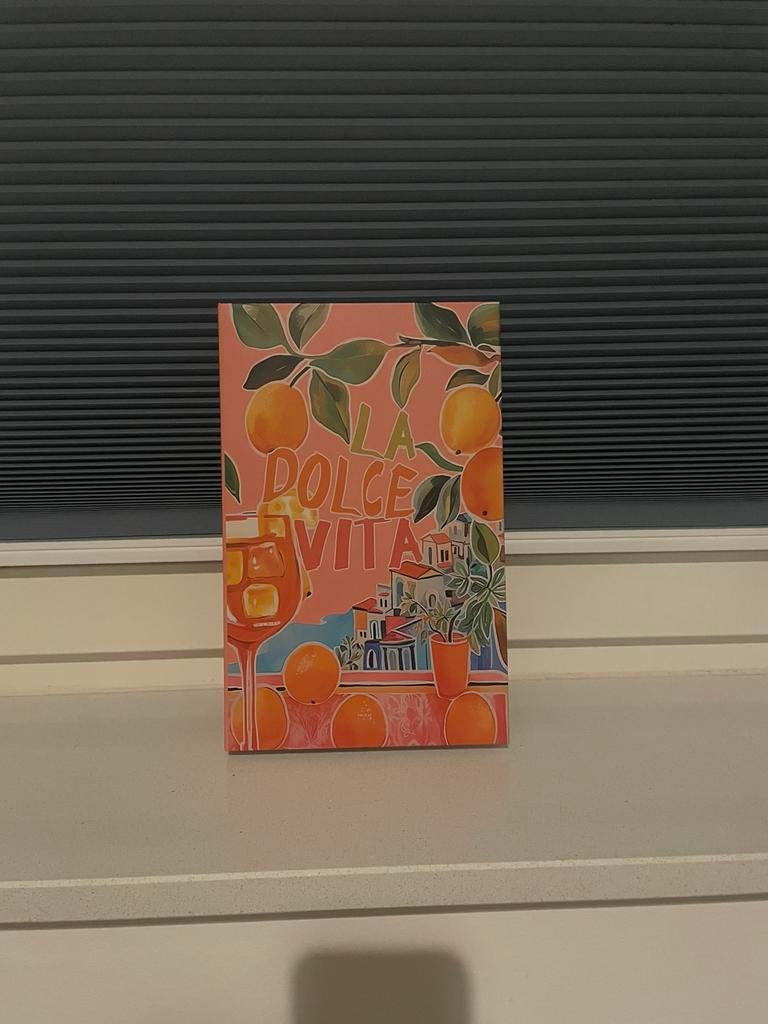 Nep boek, Ophalen of Verzenden, Zo goed als nieuw