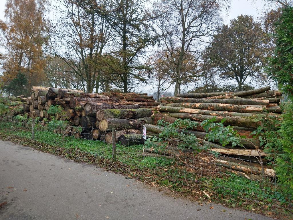 Brandhout - Stamhout - Boomstammen - Haardhout - Te Koop, 6 m³ of meer, Ophalen, Overige houtsoorten, Stammen