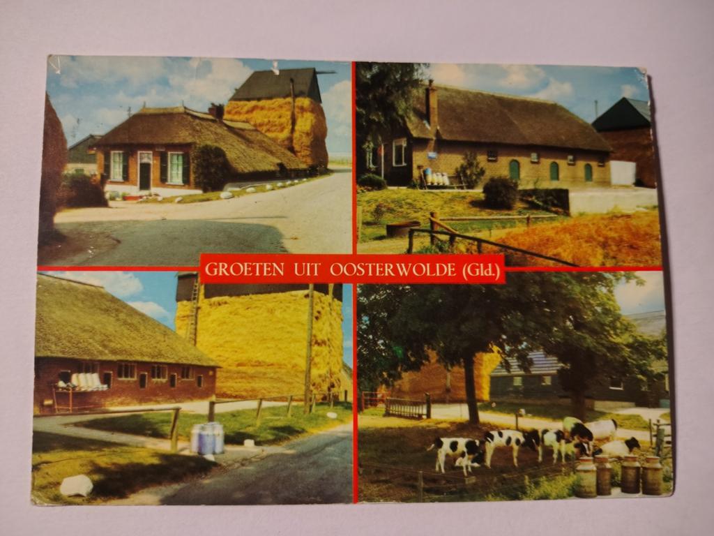 Oosterwolde, Verzamelen, Ansichtkaarten | Nederland, Ophalen of Verzenden, 1940 tot 1960, Gelderland