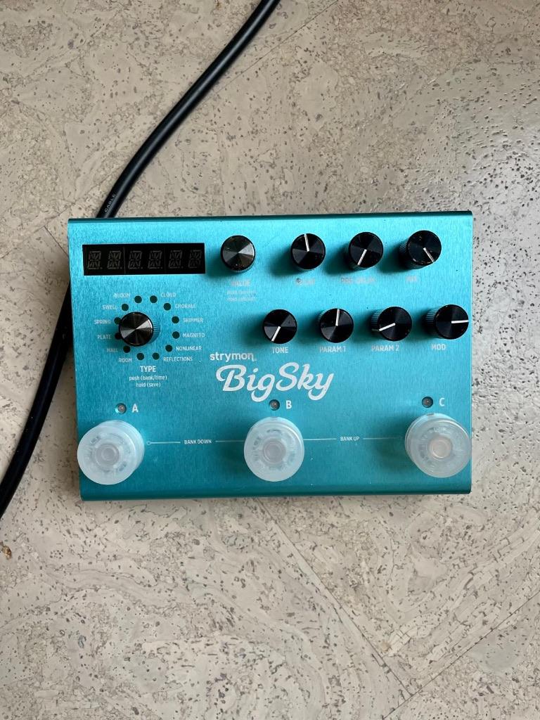 Strymon BigSky, Muziek en Instrumenten, Effecten, Ophalen of Verzenden, Gebruikt, Delay of Echo