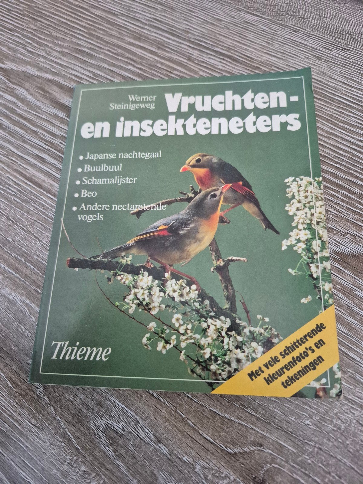 Vruchten- en Insekteneters: Exotische Vogels Houden, Ophalen of Verzenden, Gelezen, Vogels, Werner Steinigeweg