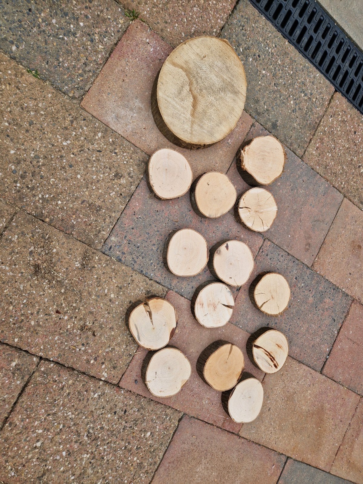 Houten schijven - Decoratie, knutselen, onderzetters, Hobby en Vrije tijd, Nieuw, Educatief, Bruin, Knutselmateriaal