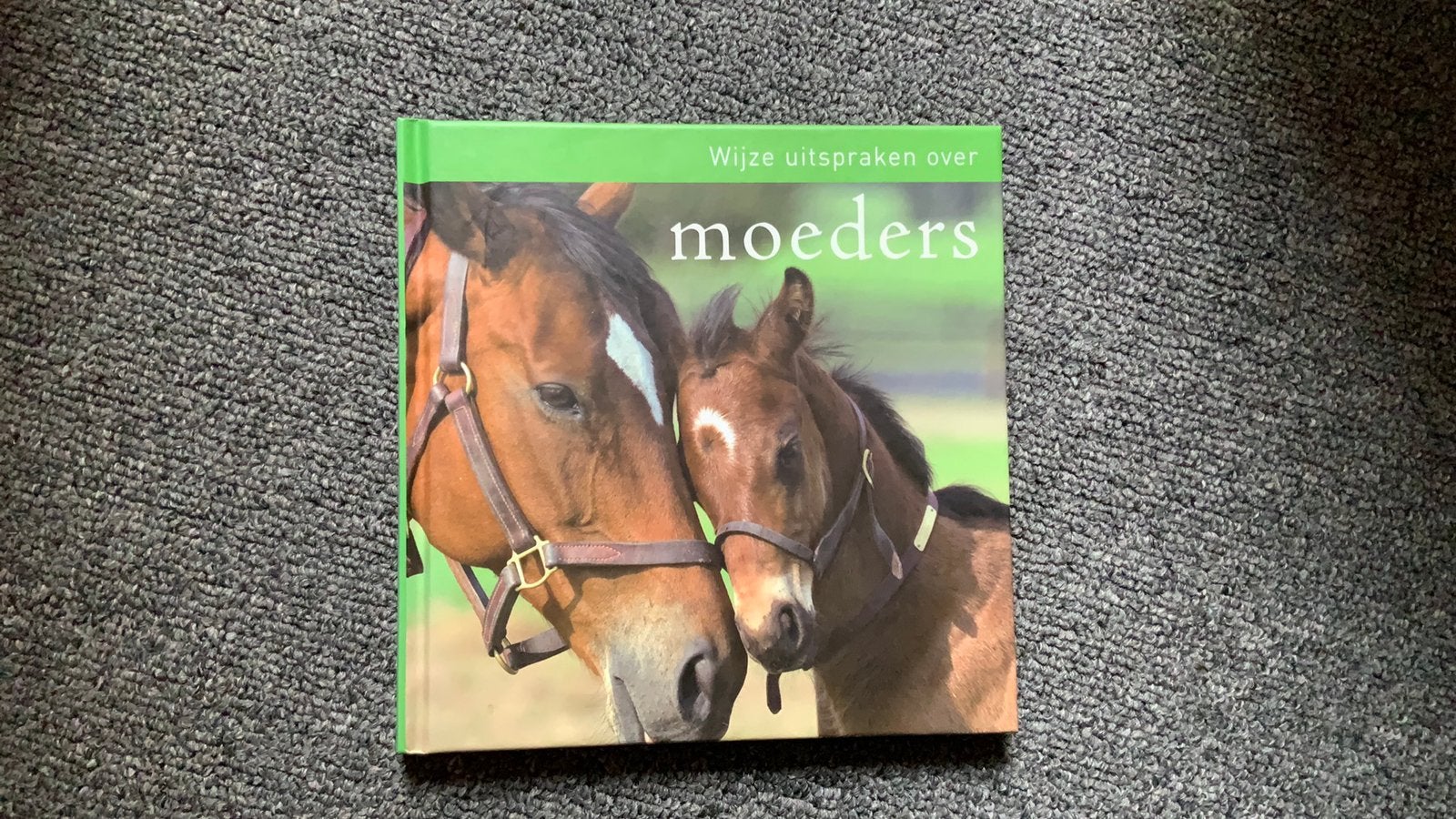 Leuk boekje over moeders. Nieuw staat., Ophalen of Verzenden, Zo goed als nieuw