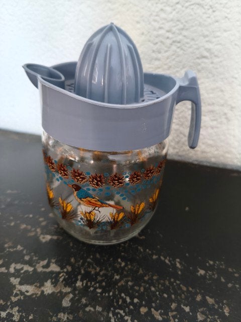 Vintage citruspers glas kunststof bloemen, Ophalen of Verzenden, Zo goed als nieuw, Meerkleurig, Overige merken
