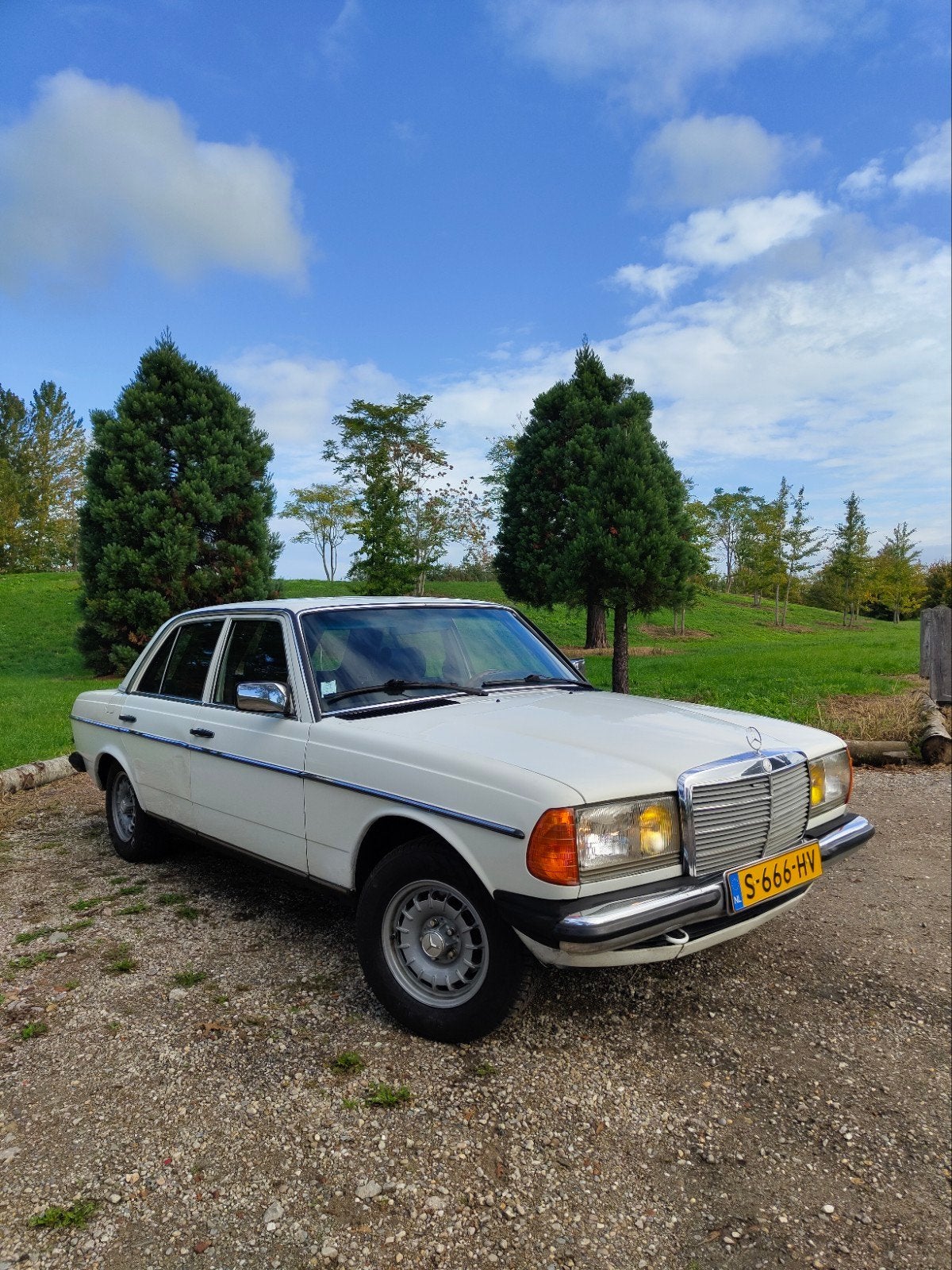 Mercedes-Benz w123 240D 5-bak 1983, Achterwielaandrijving, Zwart, 1290 kg, Particulier