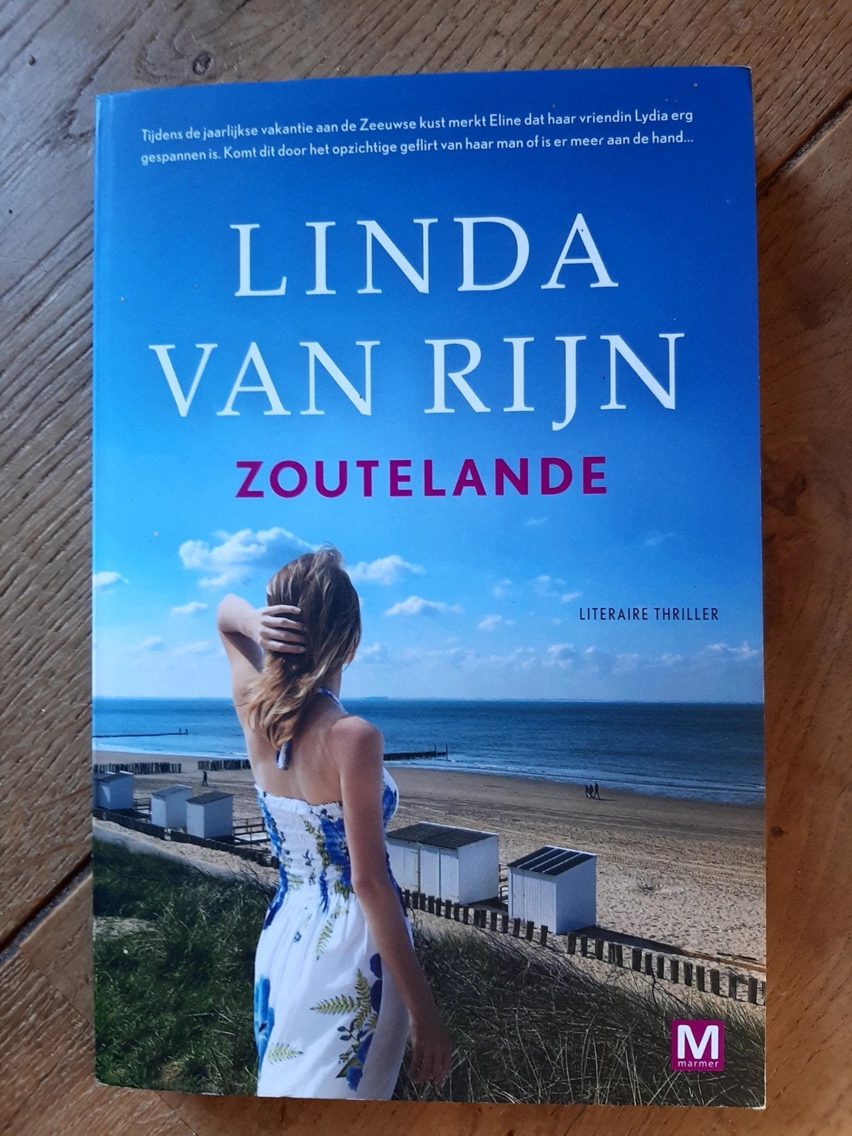 Linda van Rijn - Zoutelande (Literaire thriller), Boeken, Ophalen of Verzenden, Gelezen, Linda van Rijn, Nederland