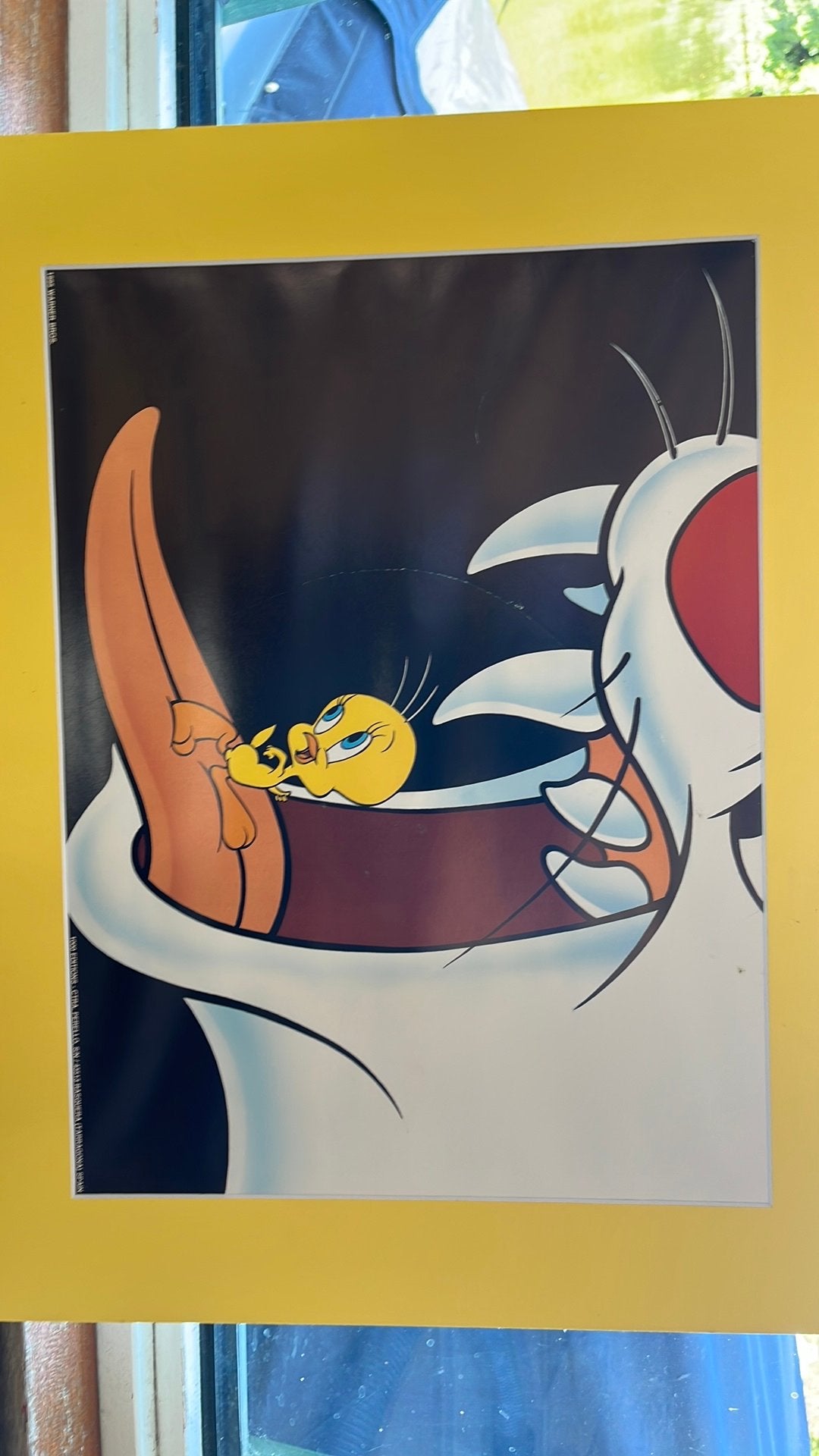 Warner Bros 3 luik 1995, Antiek en Kunst, Ophalen of Verzenden, Personages en Fantasiefiguren, Overige techniek