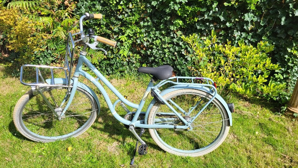 Meisjesfiets 26 inch, Fietsen en Brommers, Gebruikt, Schwalbe, Velgrem, Handrem