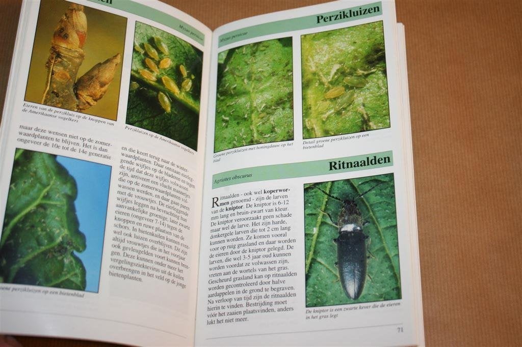 Suikerbieten ziekten, plagen en onkruiden - Ing. H. Glas, Ophalen of Verzenden, Gelezen, Natuur algemeen