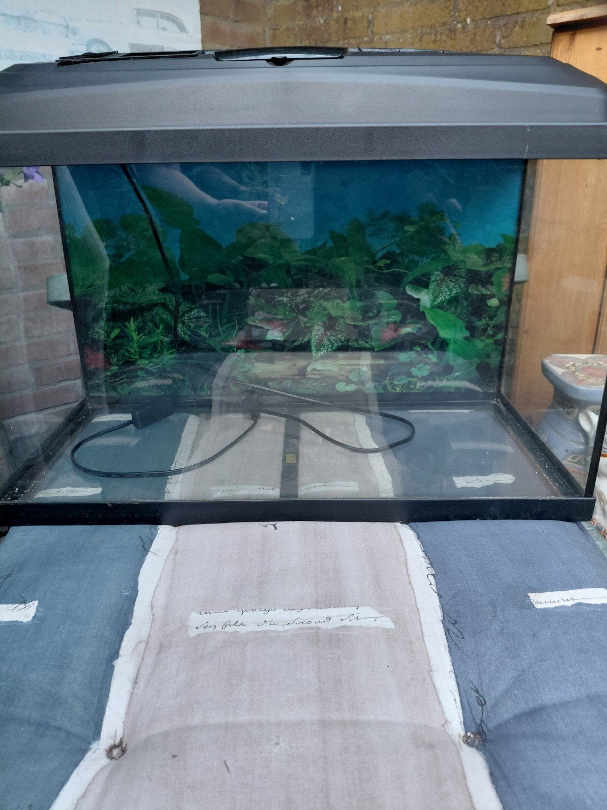 Juwel aquarium 60x30x40cm, Ophalen, Gebruikt, Leeg aquarium, Juwel