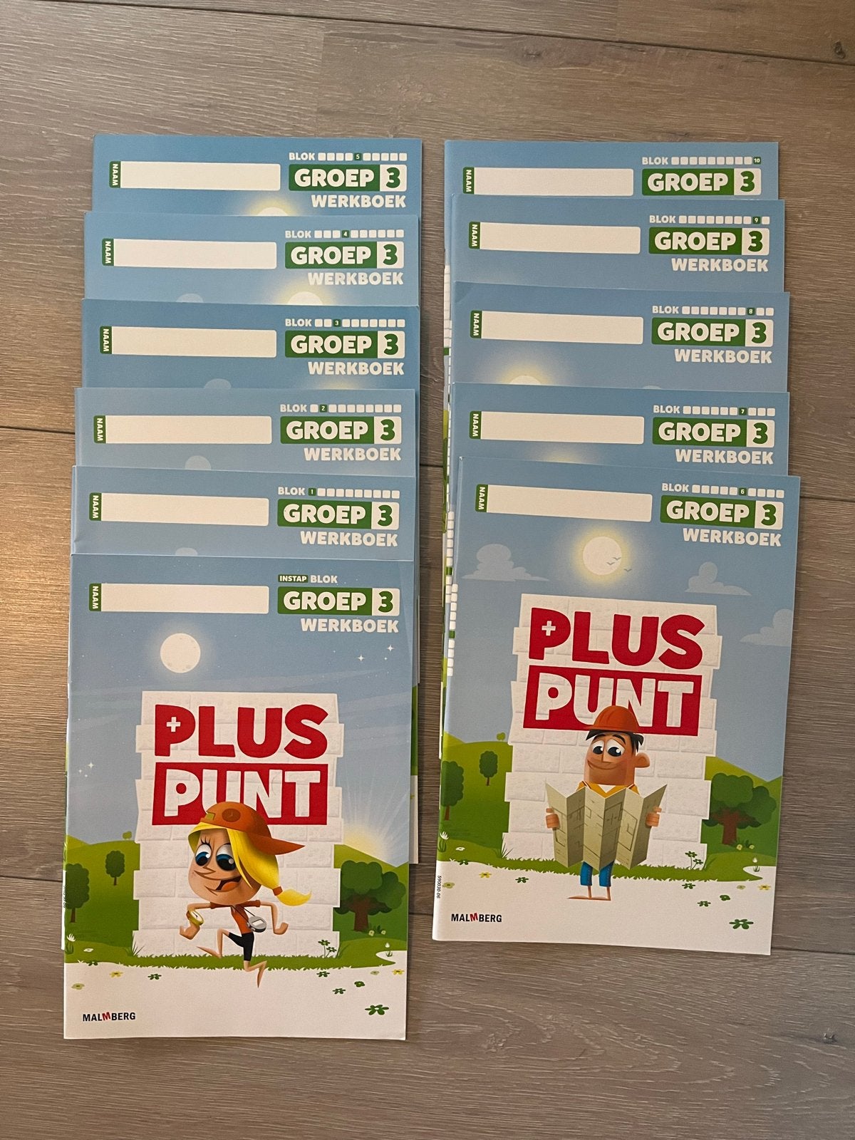 Pluspunt rekenen werkboeken set groep 3 nieuw!, Boeken, Schoolboeken, Ophalen of Verzenden, Nieuw, Overige niveaus, Overige vakken