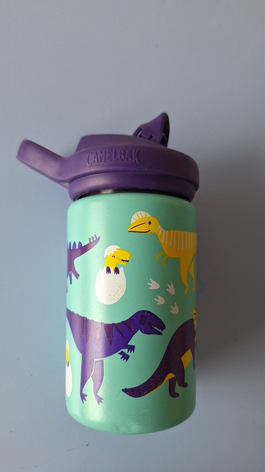 Camelbak Kinder Thermosfles met Dinosaurus Print 0.4L, Ophalen of Verzenden, Gebruikt