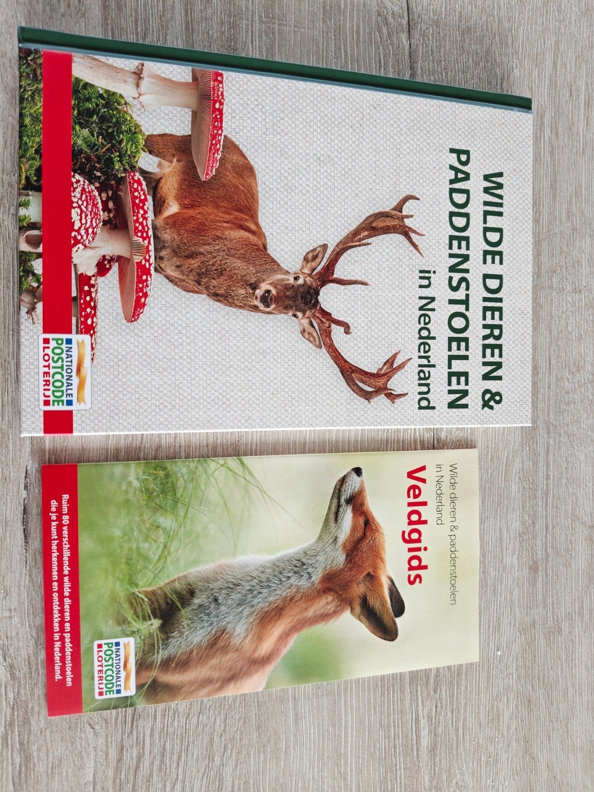 Wilde Dieren & Paddenstoelen in Nederland + Veldgids - Nieuw, Boeken, Natuur, Ophalen of Verzenden, Nieuw, Natuur algemeen