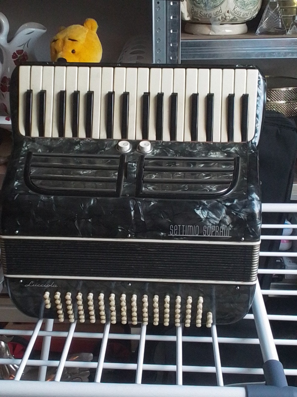 Mooie kleine accordeon met super mooi geluid, Ophalen of Verzenden