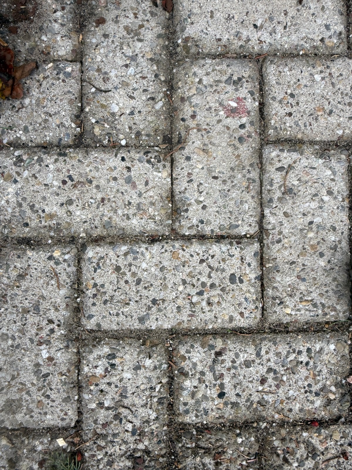 Betonnen klinkers voor oprit (ca. 90 m²), Tuin en Terras, Ophalen, Gebruikt, Klinkers, 10 m² of meer