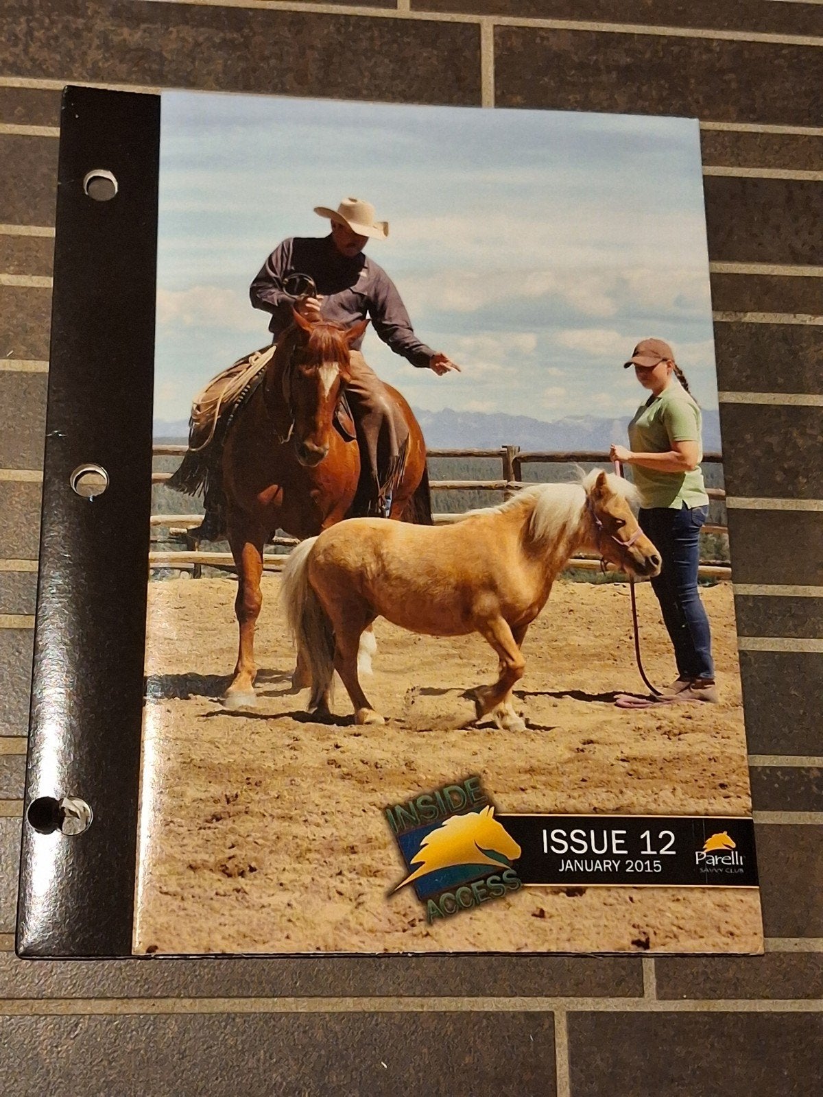 parelli savvy club dvd nr 12 januari 2015, Boeken, Dieren en Huisdieren, Ophalen of Verzenden, Zo goed als nieuw, Katten