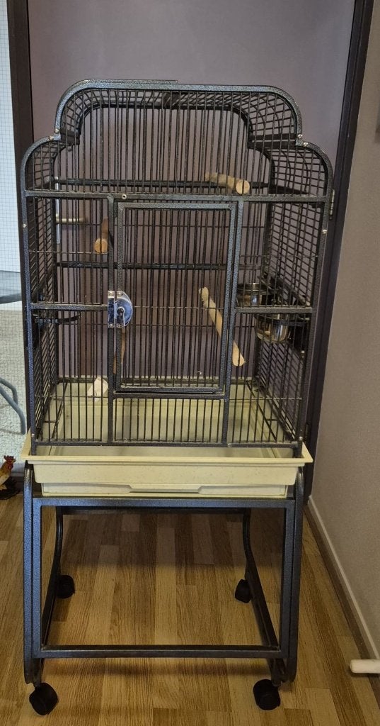 papegaaienkooi, Ophalen, Gebruikt, Metaal, Vogelkooi