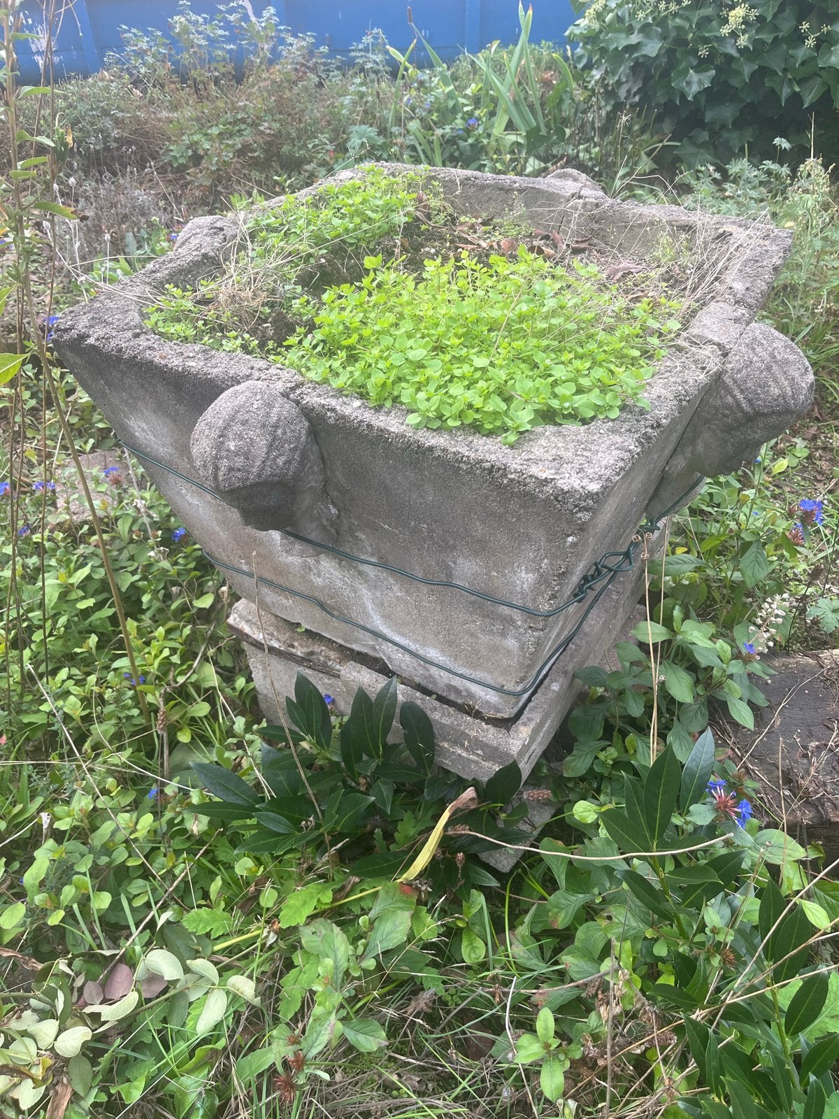 Antieke betonnen plantenbak met decoratieve koppen, Tuin en Terras, Ophalen, Gebruikt, 40 cm of meer, Vierkant