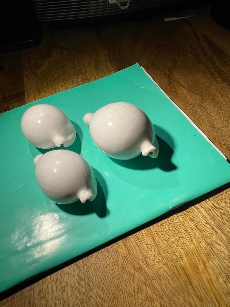 Set van 3 decoratieve schelpen, wit, Ophalen of Verzenden