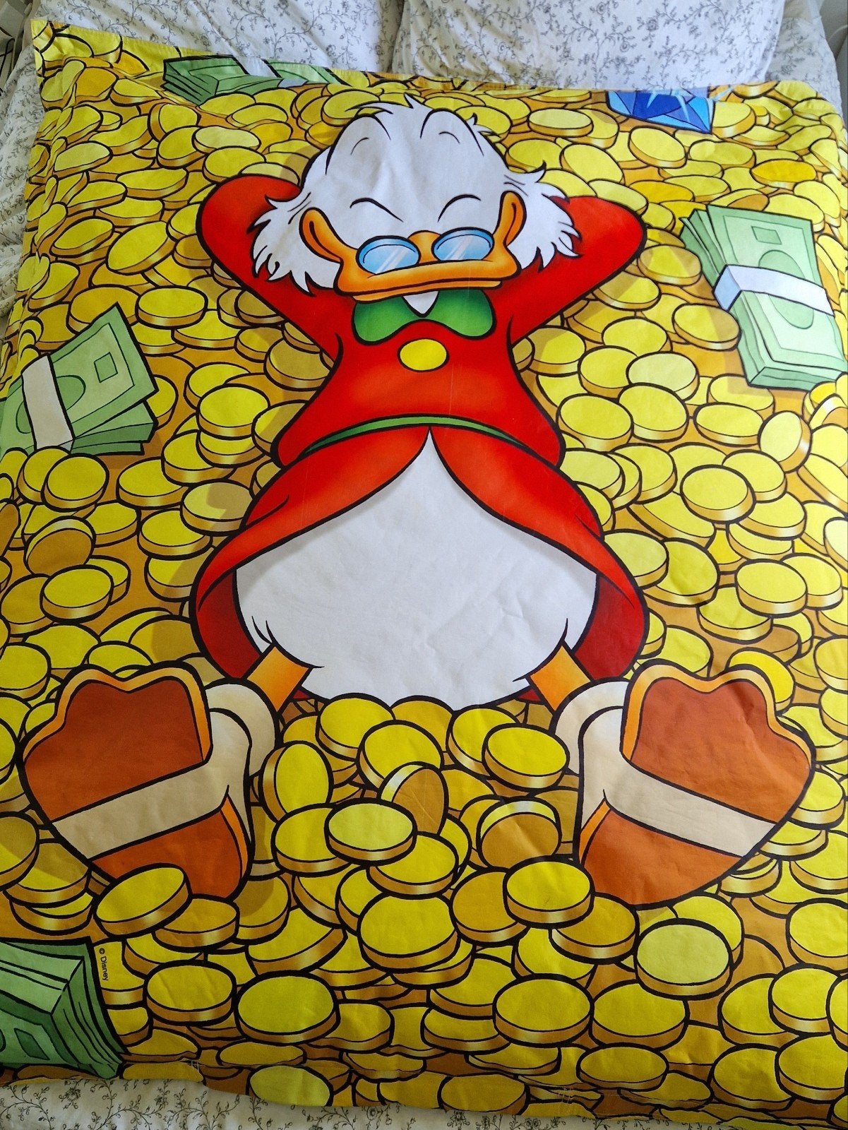 Donald Duck Zitzak, Ophalen, Gebruikt, Zitzak