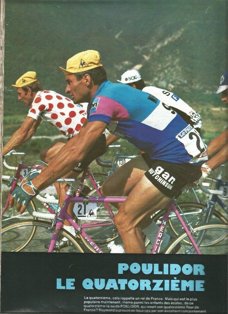 Sportdocumentatie ANP '81 + Cyclisme (76/77) & Olymp. Spelen, Boeken, Gelezen, Ophalen of Verzenden, Diverse auteurs, Lopen en Fietsen