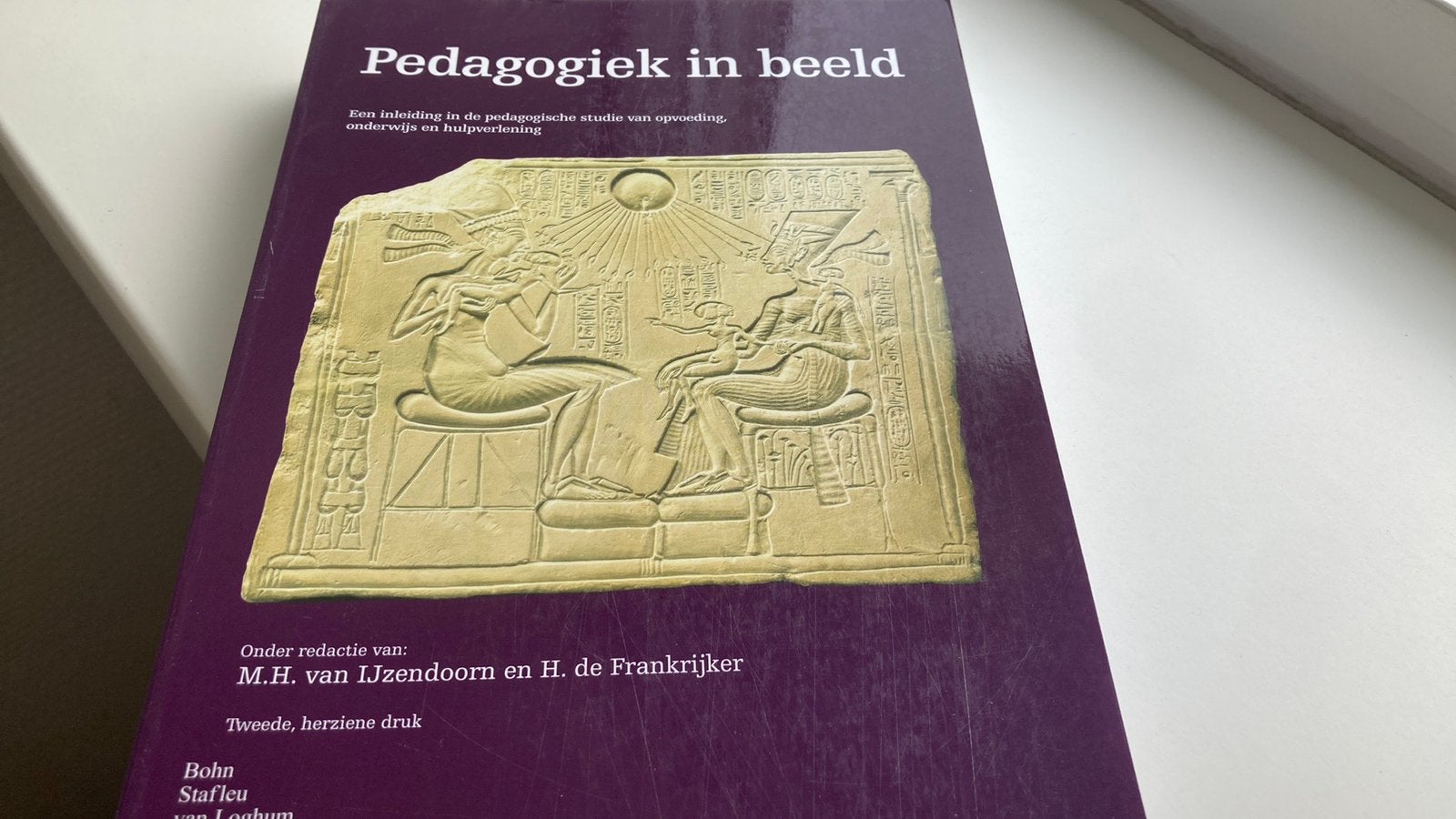 Pedagogiek in beeld, Boeken, Ophalen of Verzenden, Nieuw