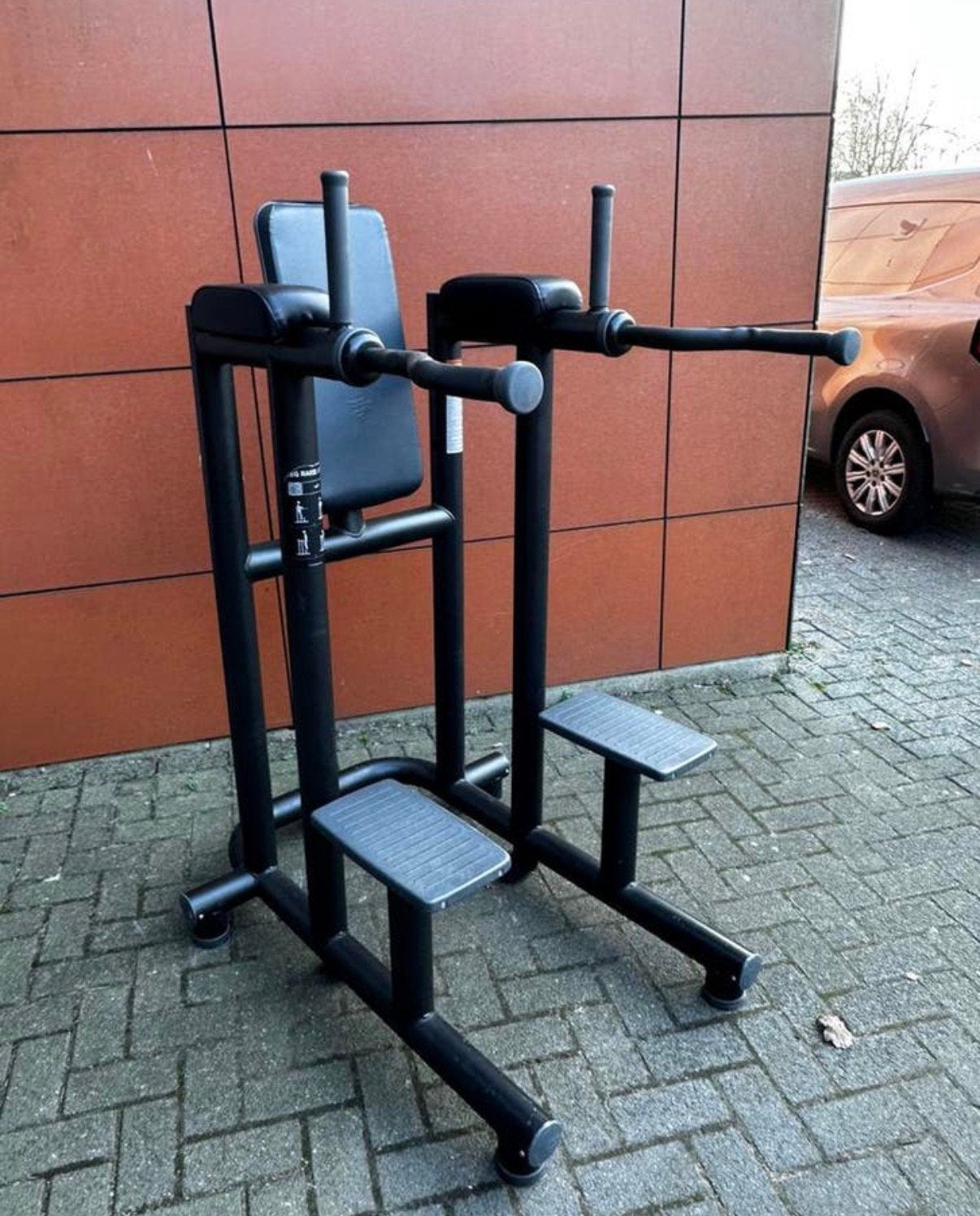 Technogym Leg Raise / Dip Station, Ophalen, Gebruikt, Overige typen