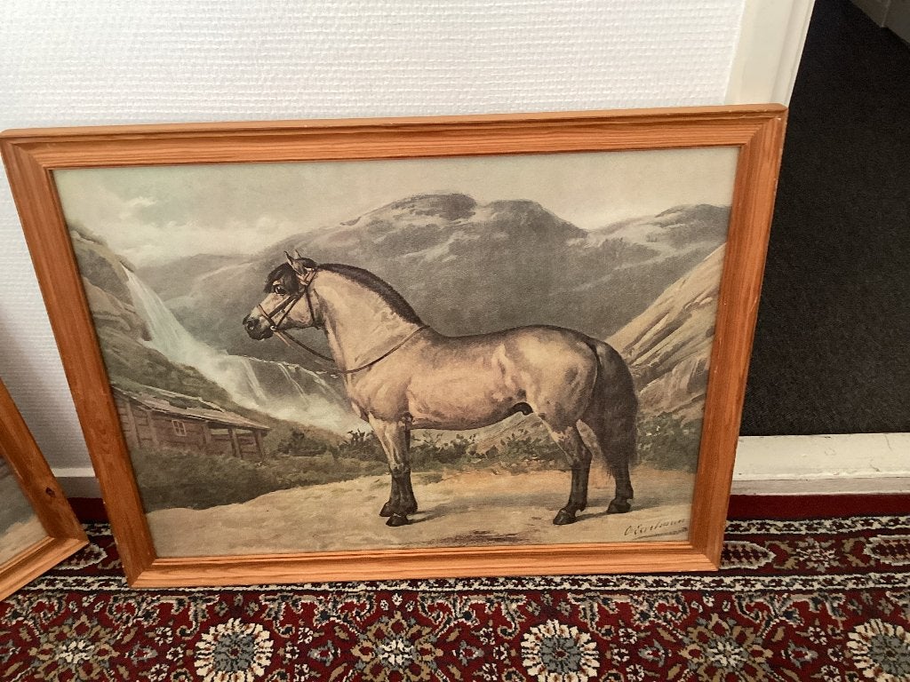 2 grote wandprenten van paarden, Ophalen, Gebruikt, 55 cm, 65 cm