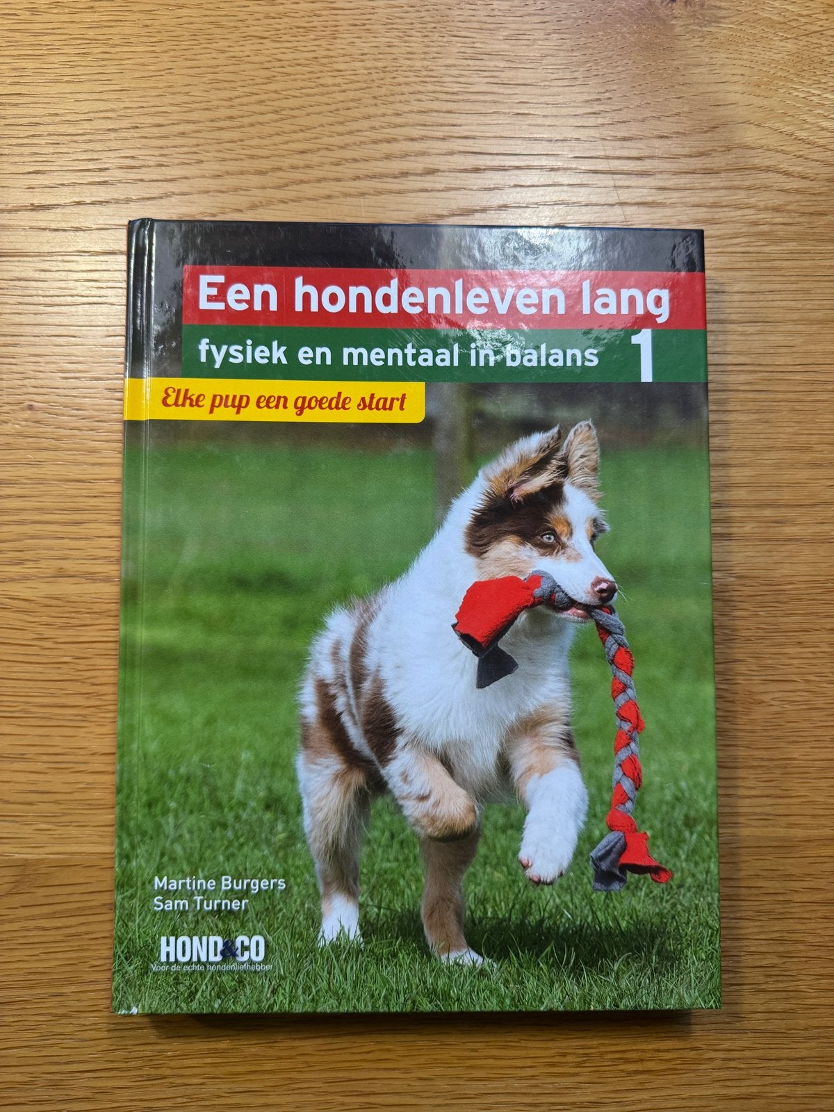 Een hondenleven lang: Elke pup een goede start, Ophalen of Verzenden, Gelezen, Honden