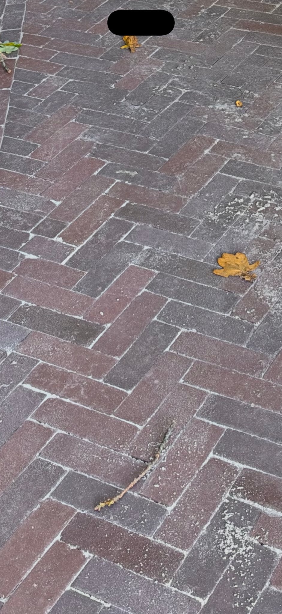 40m2 Vandersanden Bergamo Antica Klinkers - Nieuw, Tuin en Terras, Ophalen, Keramiek, Klinkers, Nieuw