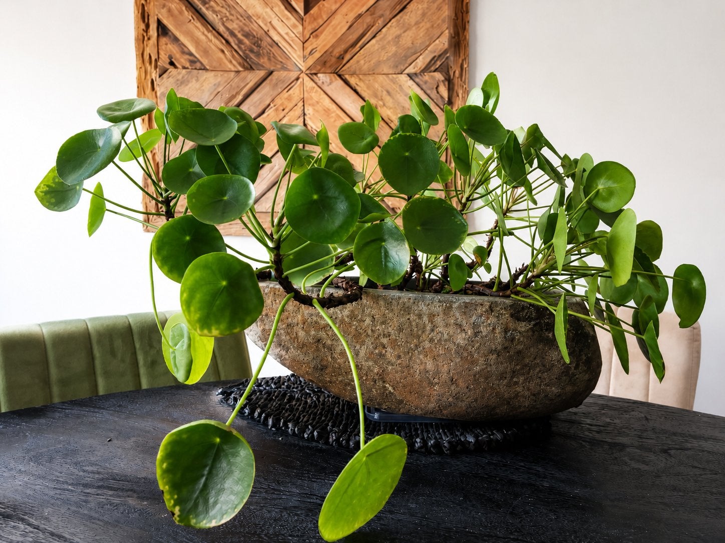 Unieke waskom als plantenbak natuursteen, Ophalen, Steen, Minder dan 30 cm, Minder dan 60 cm