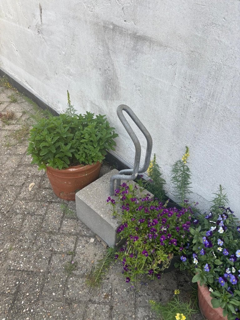 Fietsbeugel met betonvoet, Ophalen, Brede banden, Zo goed als nieuw, 1 fiets