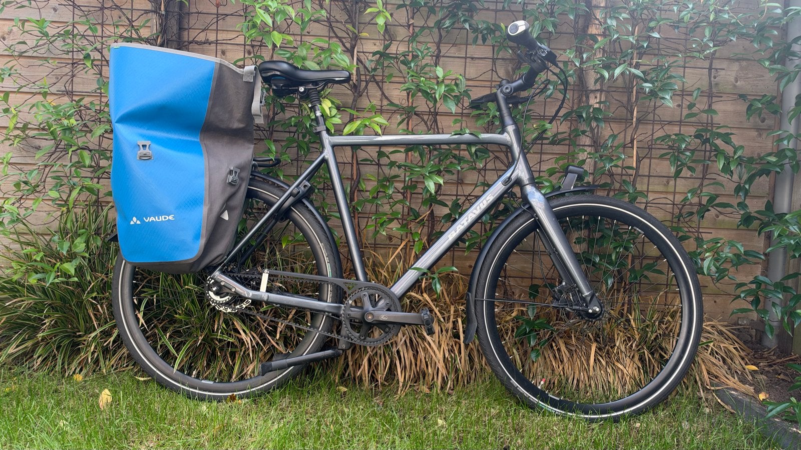 Batavus Dinsdag Exclusive Plus - 11 versn., en 2 tassen, Ophalen, Gebruikt, Versnellingen, Batavus