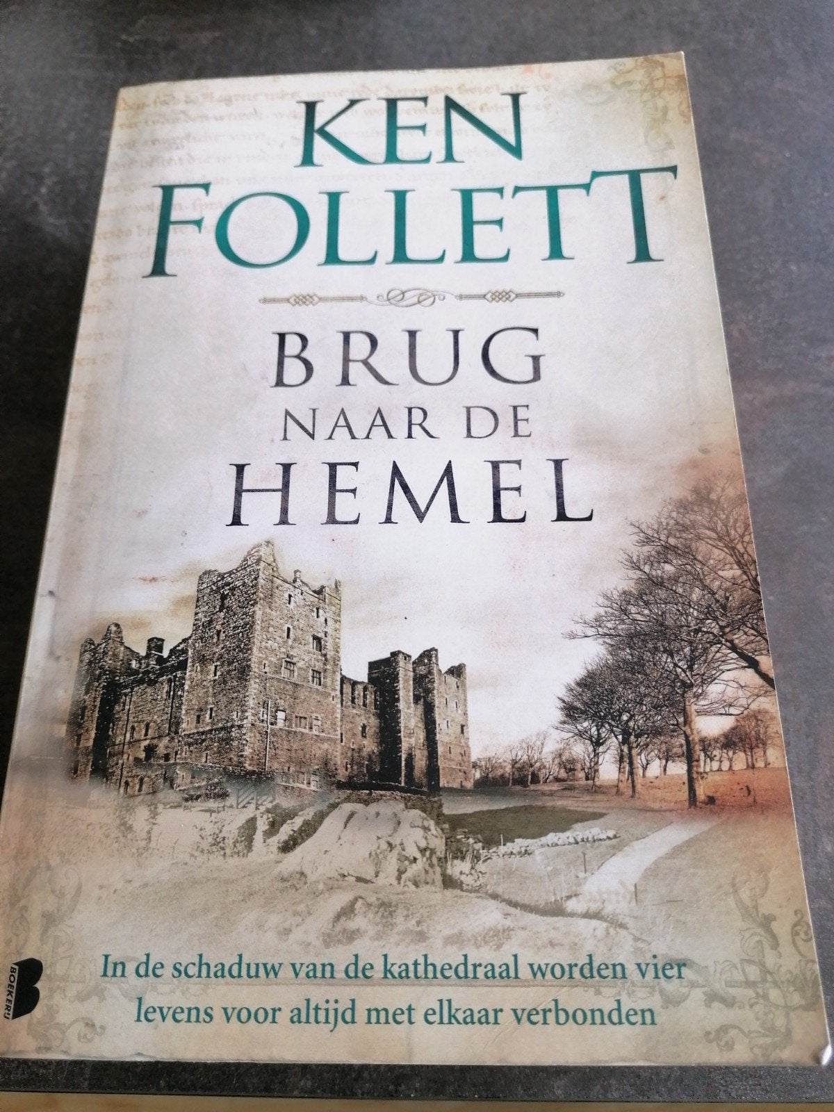 Brug naar de hemel - Ken Follett, Ophalen of Verzenden, Zo goed als nieuw, Ken Follett
