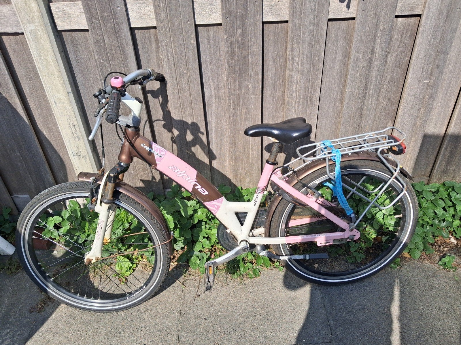 Alpina Legend kinderfiets - 24 inch - Gebruikt, Ophalen, Terugtraprem, Alpina, Versnellingen