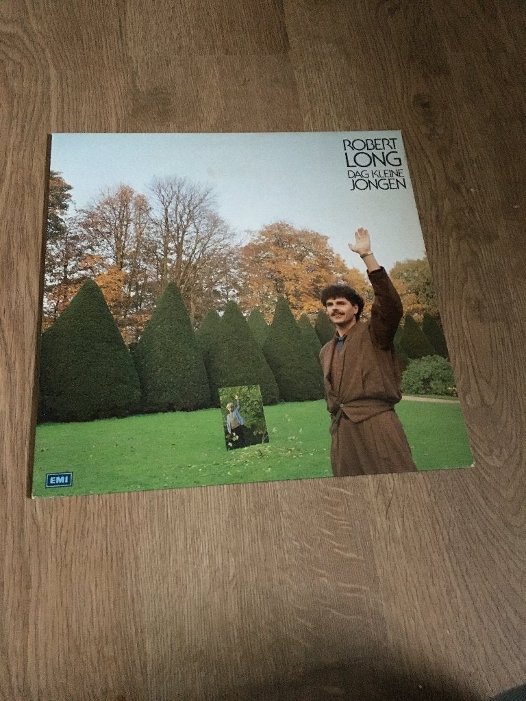 Elpee Robert Long Dag kleine jongen, Cd's en Dvd's, Vinyl | Nederlandstalig, Ophalen of Verzenden, Gebruikt, 12 inch, Levenslied of Smartlap