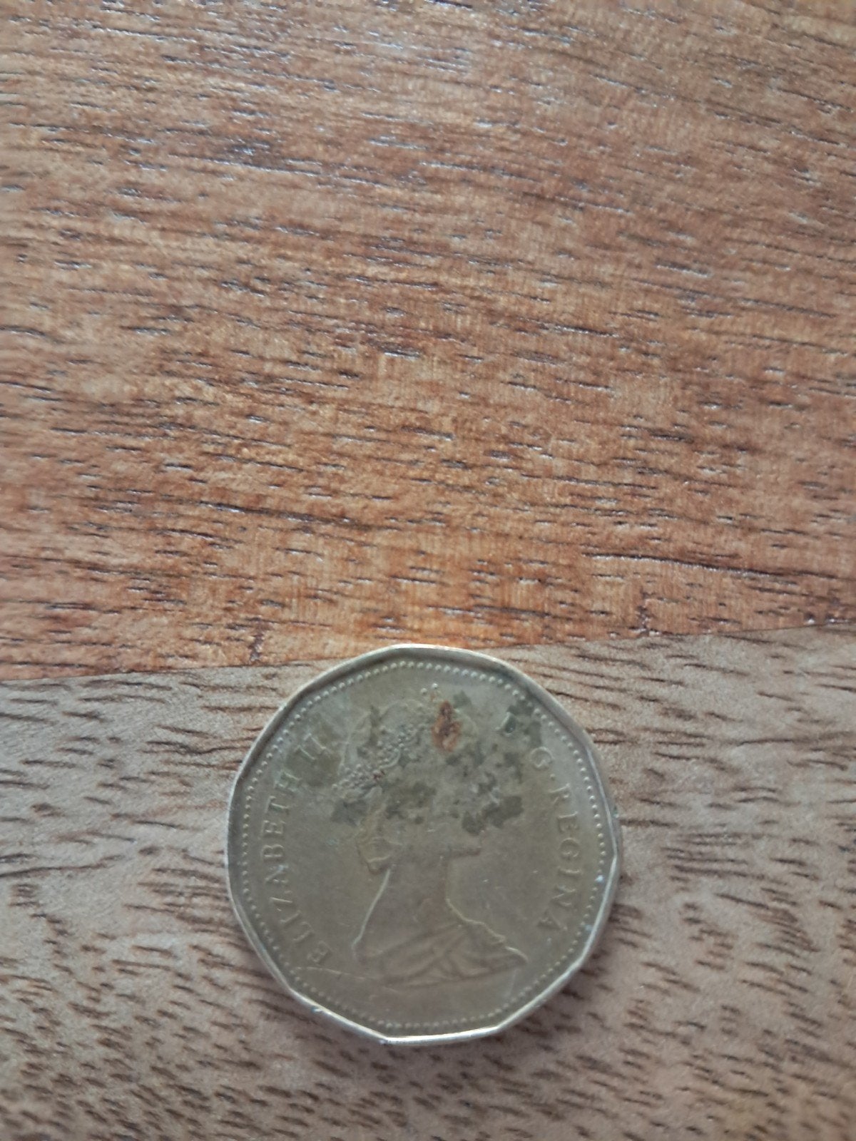 Canadese dollar munt 1987 - Elizabeth II, Ophalen of Verzenden, Noord-Amerika, Losse munt