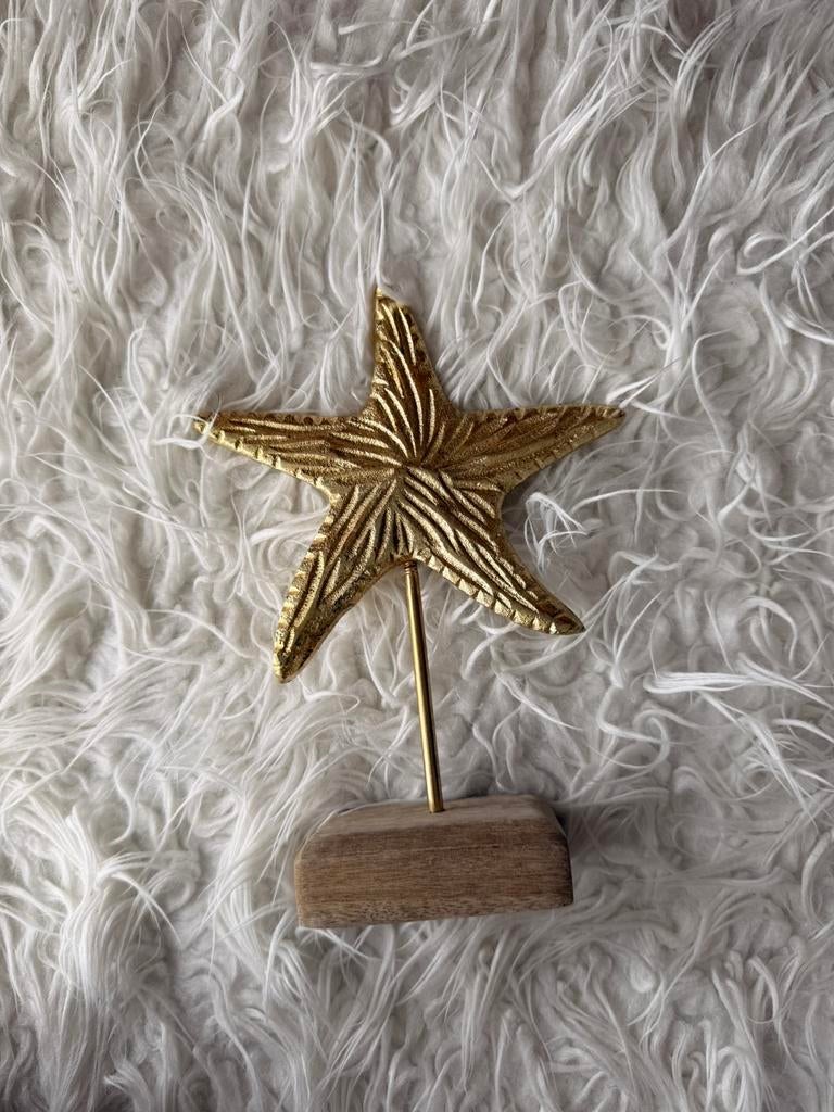 Gouden zeester, Ophalen of Verzenden, Zo goed als nieuw