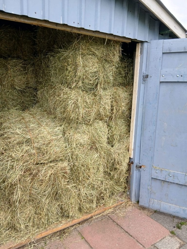 Te koop aangeboden: 55 kleine hooibalen, Ophalen, Vee