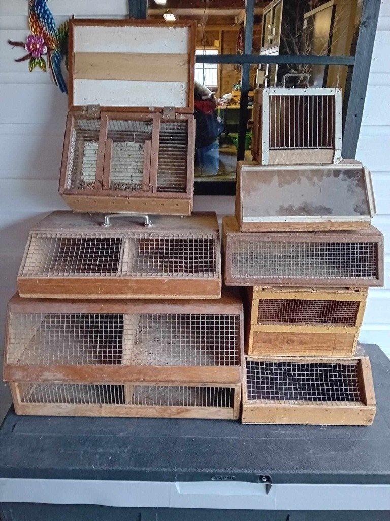 Te koop verschillende verzend kisten, Ophalen, Nieuw, Kooi-accessoires