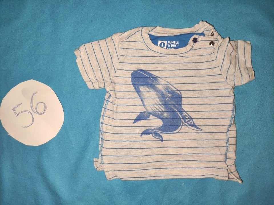 Baby zomerkleding pakket maat 56, Ophalen of Verzenden, Zo goed als nieuw, Maat 56