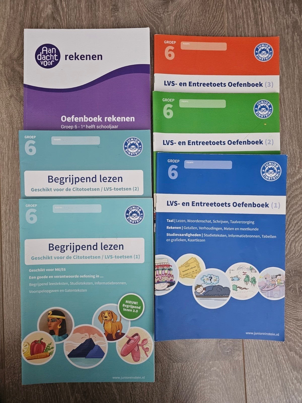 Oefenboeken Rekenen en Begrijpend Lezen Groep 6, Boeken, Schoolboeken, Ophalen of Verzenden, Gelezen, Overige niveaus, Nederlands
